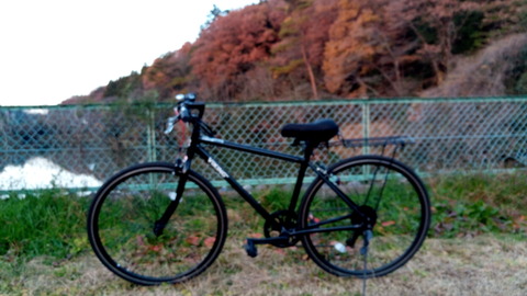 コピー ~ umidi21.12 027