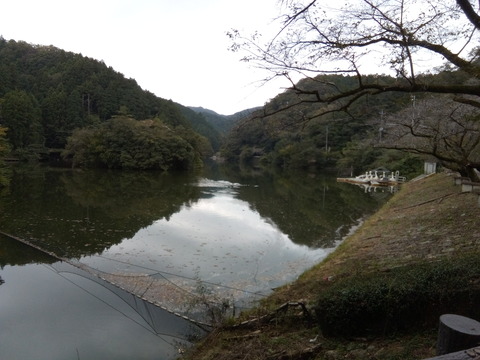 2024.9kamakitako 009