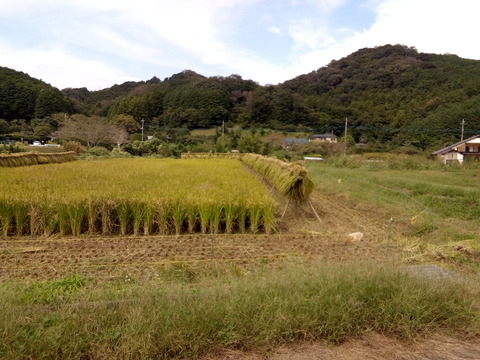 2024.9kamakitako 003