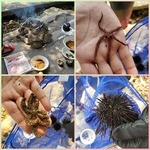 CollageMaker_20200811_105355839