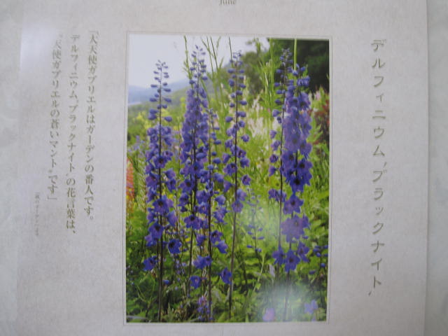 天使ガブリエルの蒼いマント 北の国から優しい時間を
