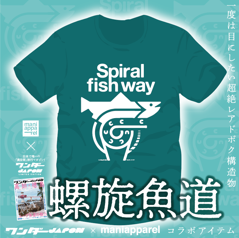 魚道のはなし 魚道設計のためのガイドライン(中村俊六) / 古本