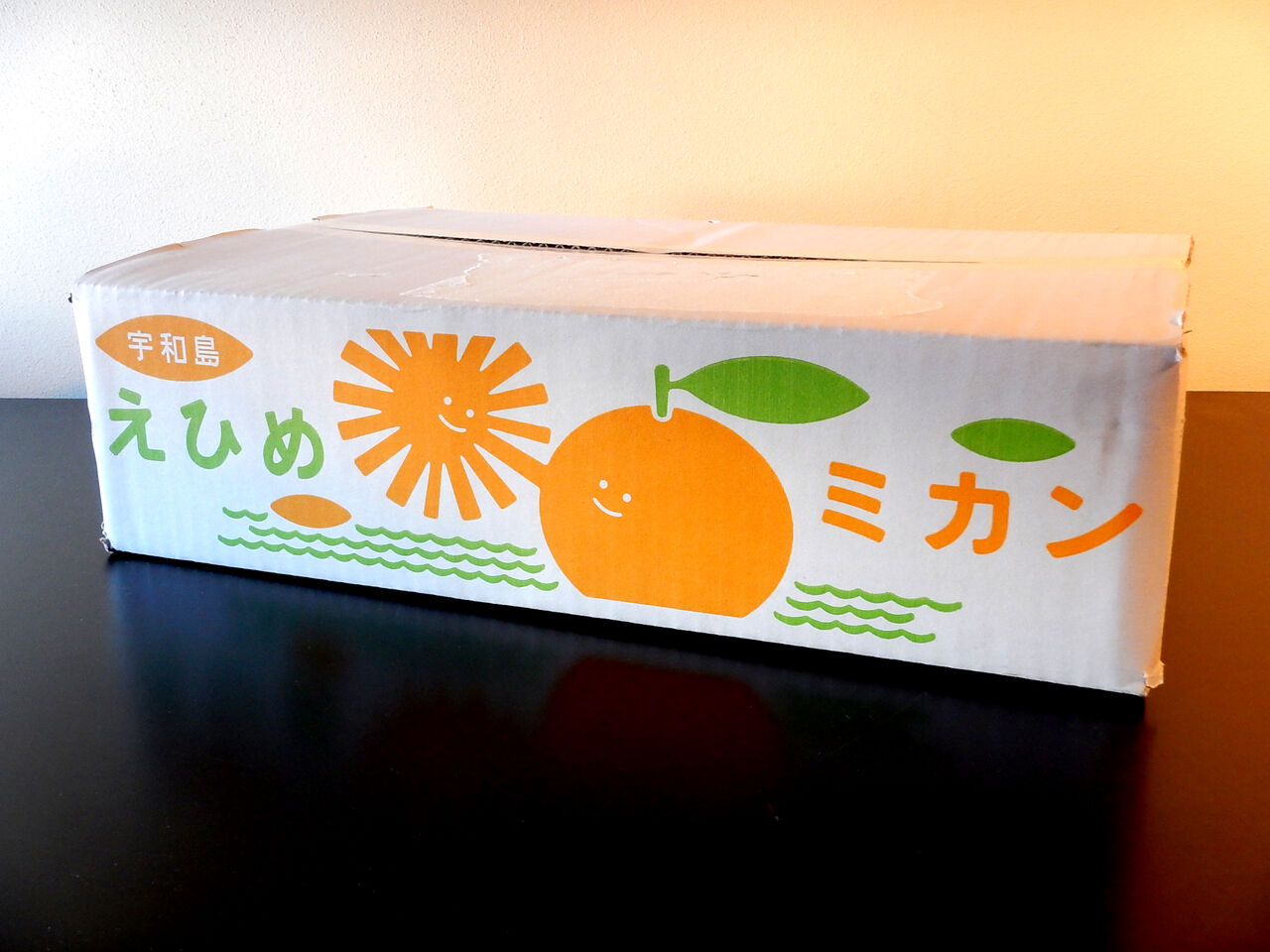 えひめミカン ダンボールデザイン マニアパレル Maniapparel