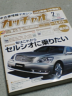 カッチャオ いつの頃か歩き出した ただひたすら認められたくて カッチャオ いつの頃か歩き出した ただひたすら認められたくて