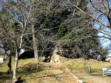 大塚