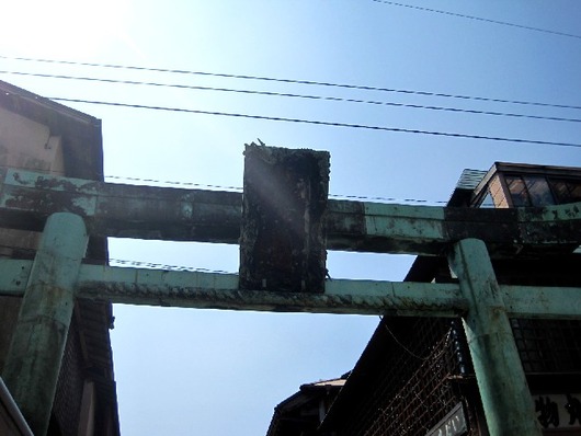 江の1