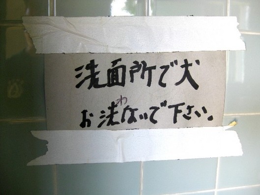 犬は