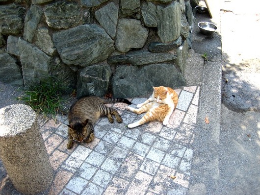 江の2