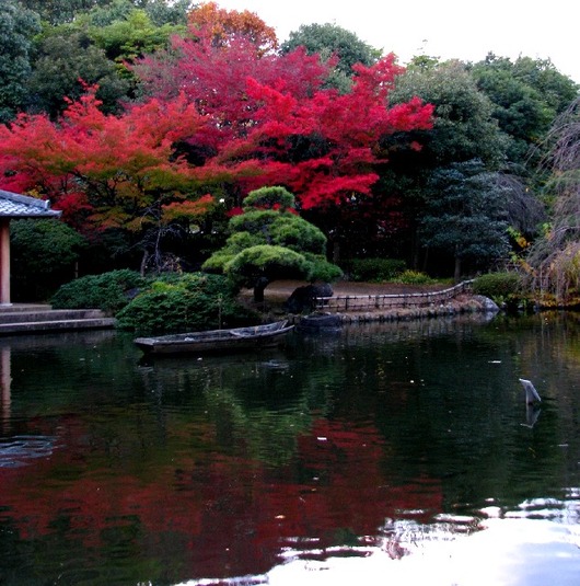 紅葉1
