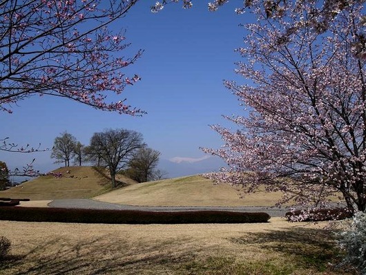 銚子塚と桜