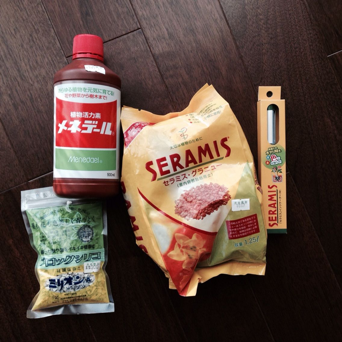 凝りずにオリーブの挿し木 ハーブの杜 玄関先の楽園