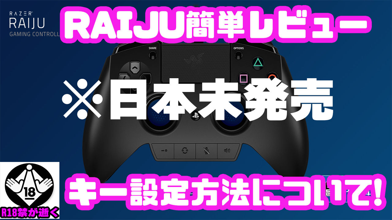 日本未発売 Ps4用ゲーミングコントローラー Raiju のレビューとキー割り振り設定方法 じゅうはちきんが 探しに逝く