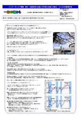 131号