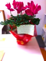 flower頂き物101123