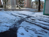 2010初雪