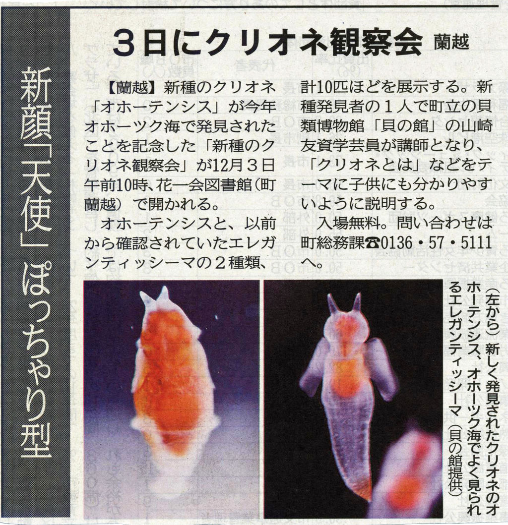 クリオネ観察会 12月3日 新聞記事紹介 30日付 北海道新聞 蘭越自然探検隊