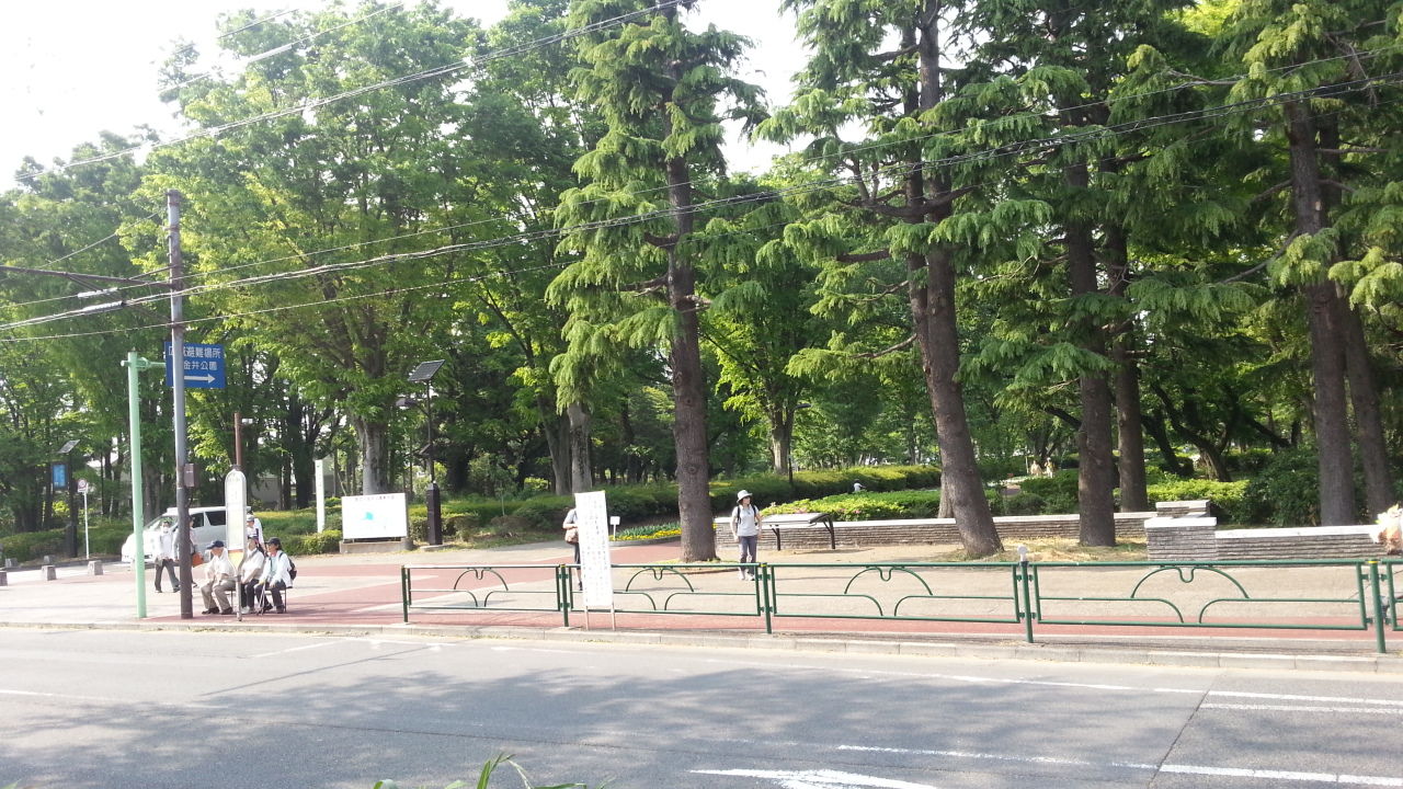 帰宅難民模擬演習をやってみた 渋谷から玉川上水まで歩く 8 小金井公園前から武蔵小金井あたりまで チェロと小さな椅子とテーブルがある部屋 帰宅難民模擬演習をやってみた 渋谷から玉川上水まで歩く 8 小金井公園前から武蔵小金井あたりまで チェロと小さな椅子とテーブルがある部屋