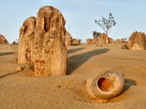 B12E0C81-0152-498D-90E7-D6AC83D50032