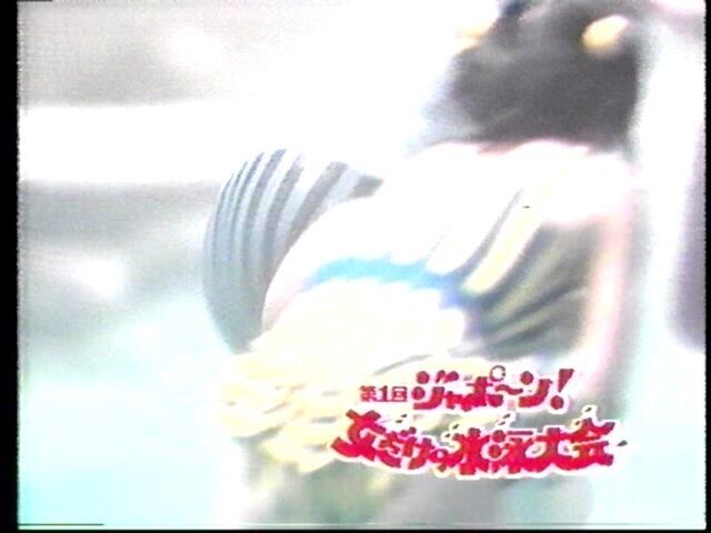 イメージ 32