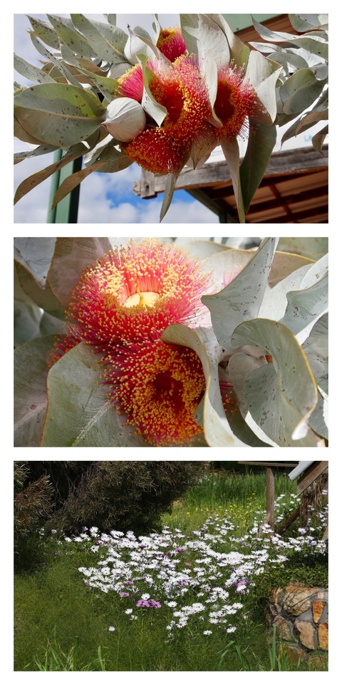 3679B46D-AC76-4E25-9B2F-78B51CE7FDB8