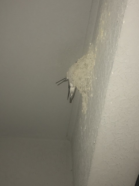 FF68B629-9CA9-4C7B-9B6E-B4D7B68619B6