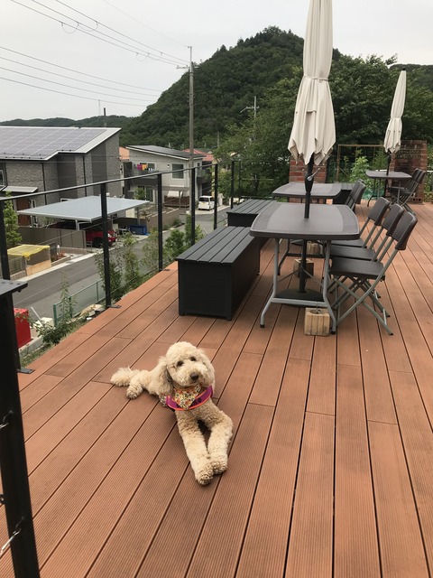 4BEEAE95-6010-4C18-8D74-85078D0A2358