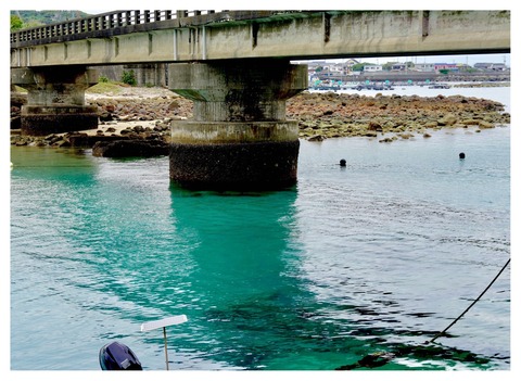 6CAAF952-18F2-4395-9D44-DD90F2379278