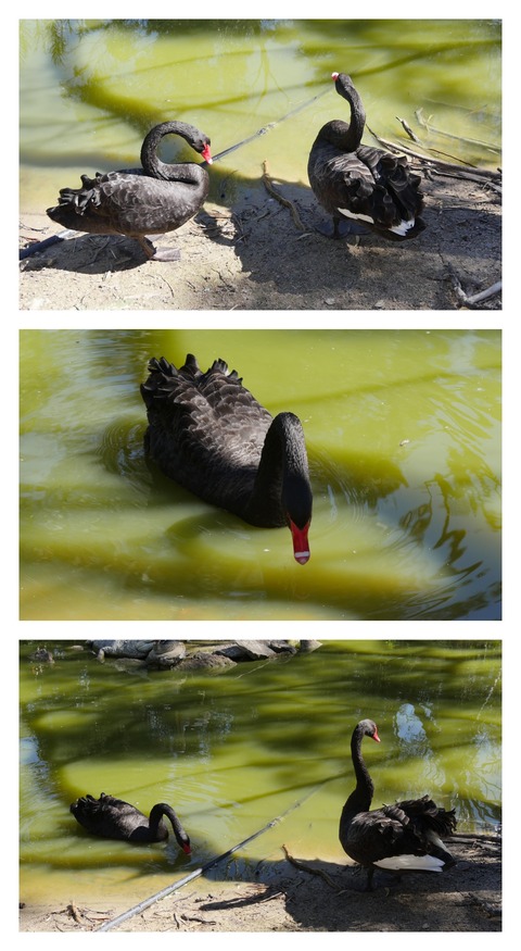 D0C3DACF-C012-4730-A23D-678AA00A1A6E