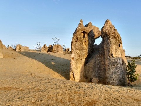 BD11FAC0-E308-4CFE-9F03-DC26345A6542