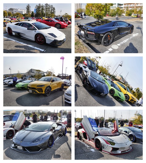 89E72DBE-76E9-43AB-8613-59D1E5F9D60A