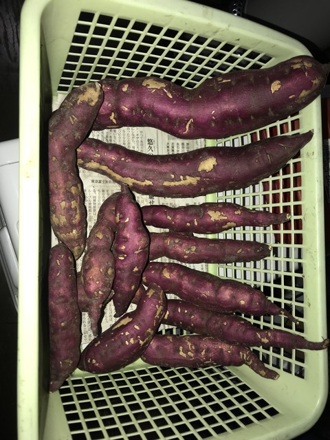 F6401304-28C7-4DFE-AC4D-D9CA186DF05E