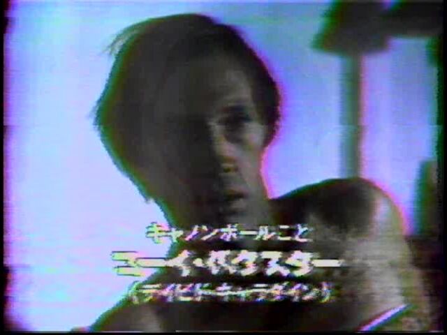 イメージ 15