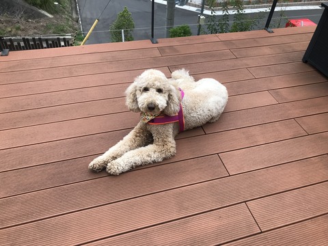 2D72A567-194A-41C4-AF9C-5F0C8F7F2DDB