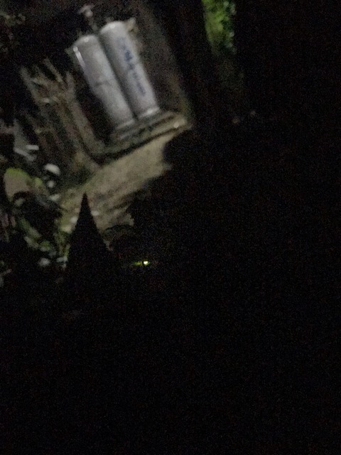 F4CD4540-25C5-4728-B013-903E978928F6