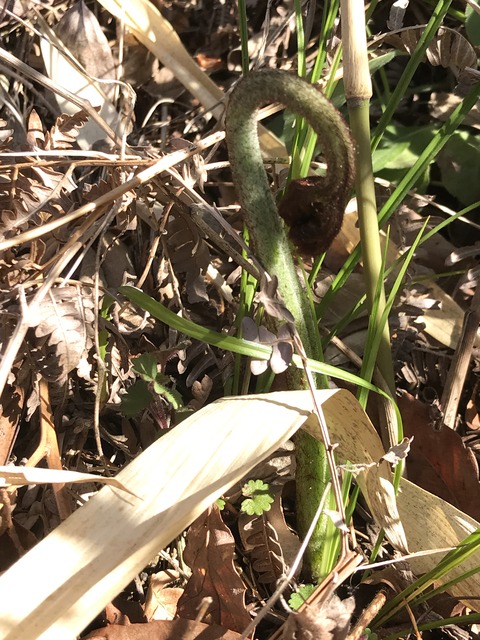 1CC2098F-99C6-40D7-958B-CBC245BEB8FF