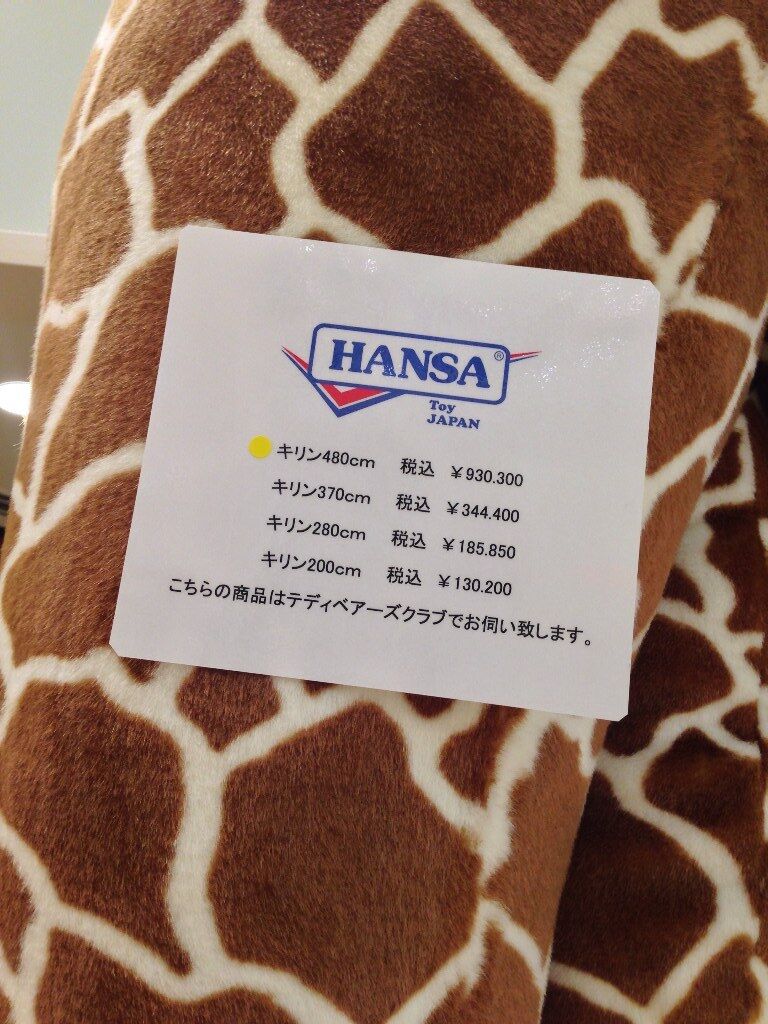 イメージ 5