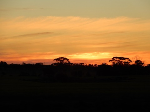 64A75F83-5EA8-44C3-B767-A041F3B760F2