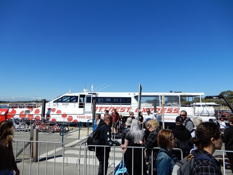 156F0C1A-A9F4-49FF-AFF4-4CBE584CF482