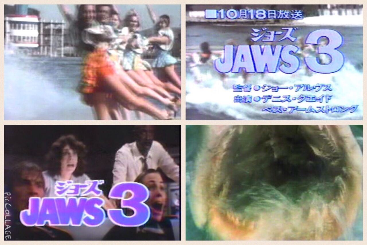 イメージ 14