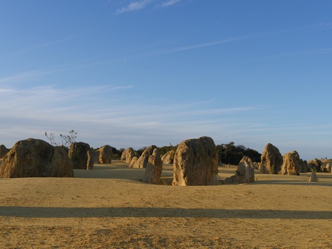 AC6FD226-F525-446D-9071-FBC60CE3B5DA