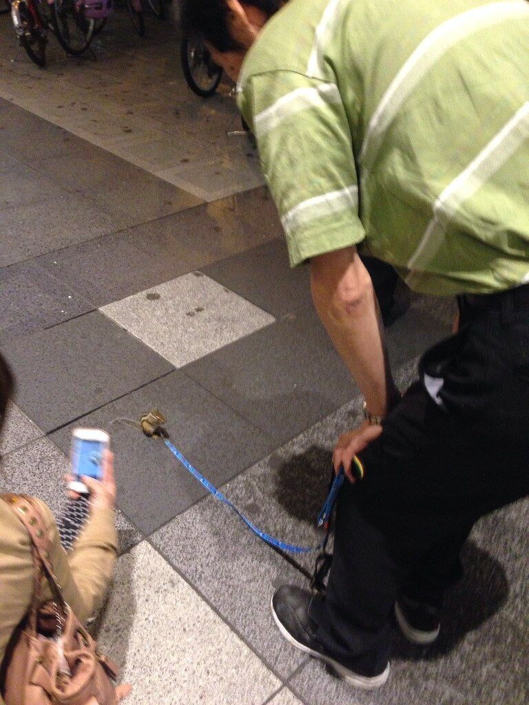 イメージ 6