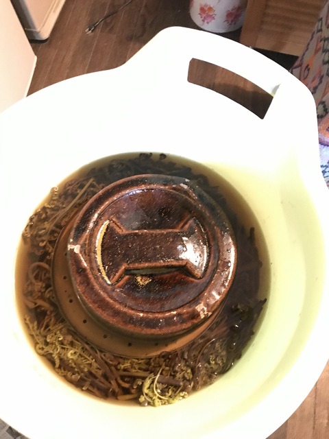 2864F5E9-16A5-47FD-9A94-A0EB3D99A64E