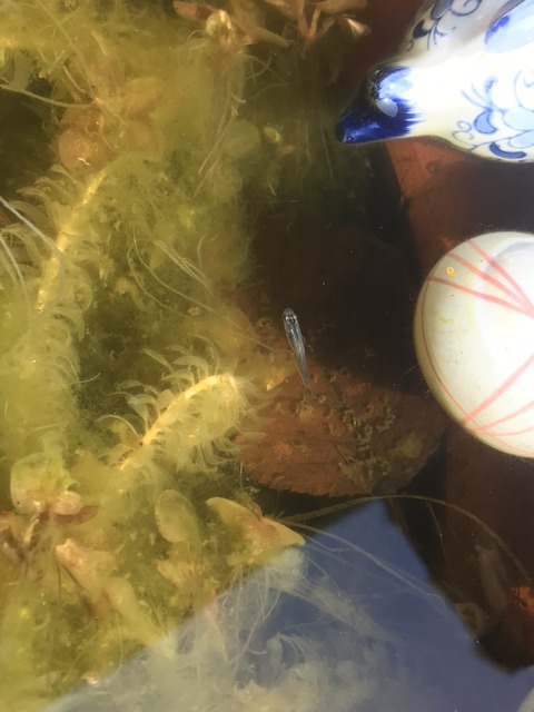 6B741704-C418-41C6-921E-E88824CBA089