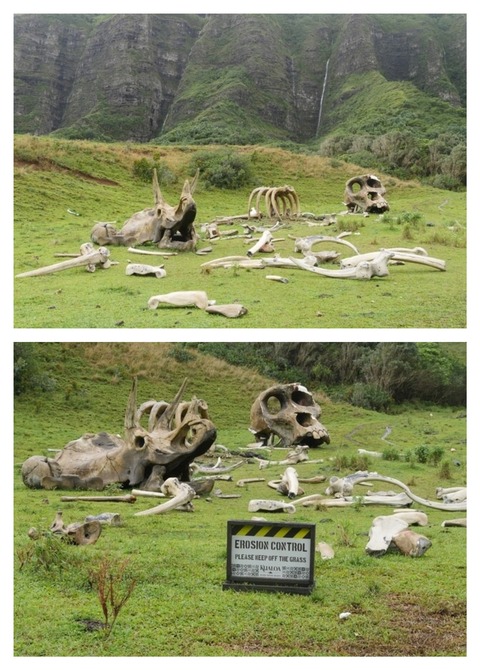 8664AE9C-2E79-4EBF-A892-99509DC96514