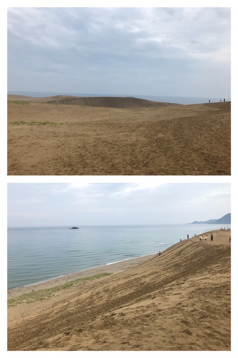 E76728EF-57EC-442D-B77D-430BD4D57BE3