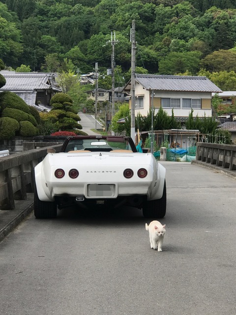 CF069CFC-ADB0-4271-AAC3-53E587A5F8B3