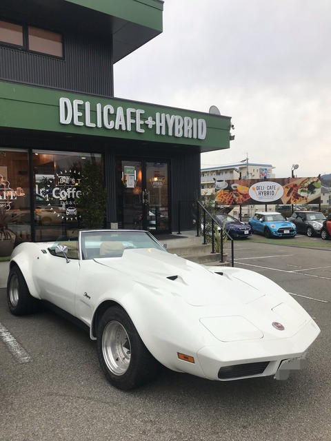 C8DEC4D4-22CB-4E93-95D2-0DE4FA9B65D3