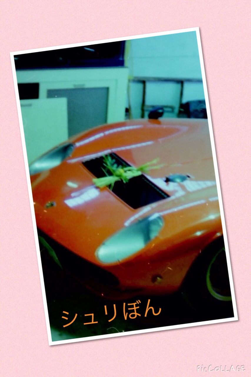 イメージ 5