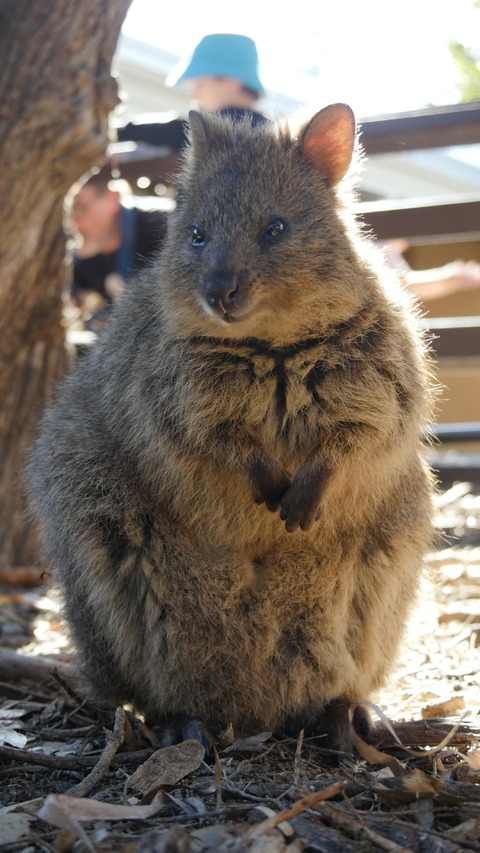 3F096031-68D6-4FB9-B86E-BCC491B2B9AE