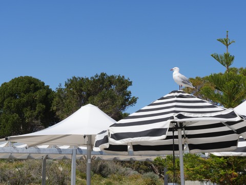 E44F67D4-6972-41AF-8715-13890D5DA930